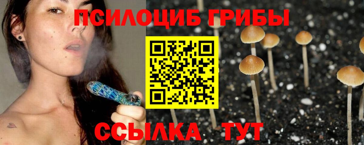 Кингисепп  Псилоцибиновые грибы MAGIC MUSHROOMS  Вход с VPN 