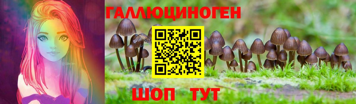 Галлюциногенные грибы мицелий Кингисепп